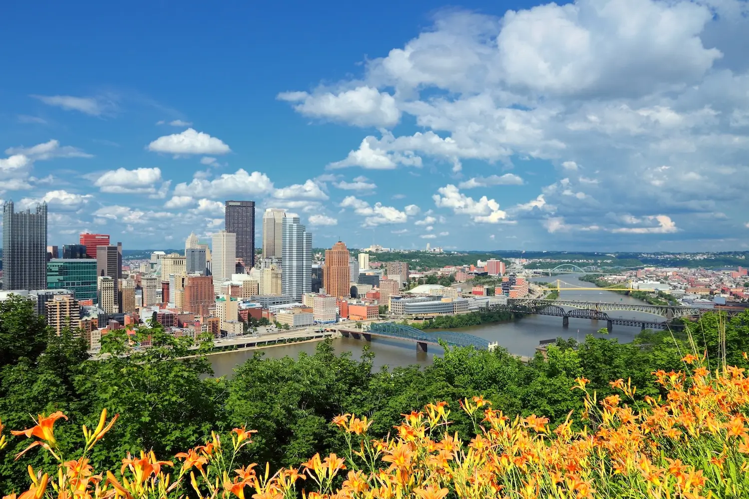 Schuylkill County Property Management